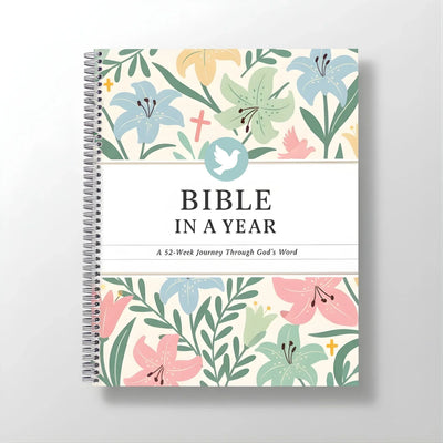 Bible In A Year - Skyn