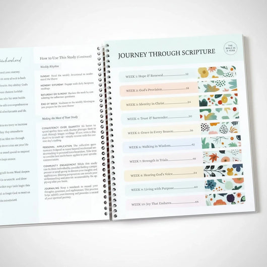 Bible In A Year - Skyn